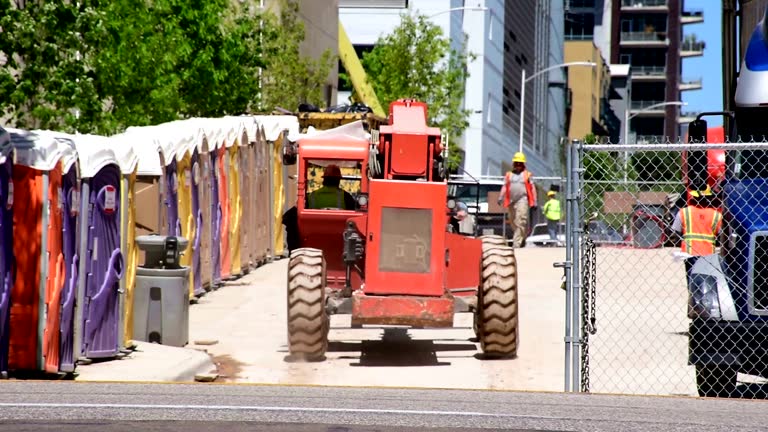 Best Tree Disease Treatment  in Raton, NM